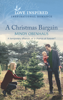December 2022 New Releases in Christian Fiction